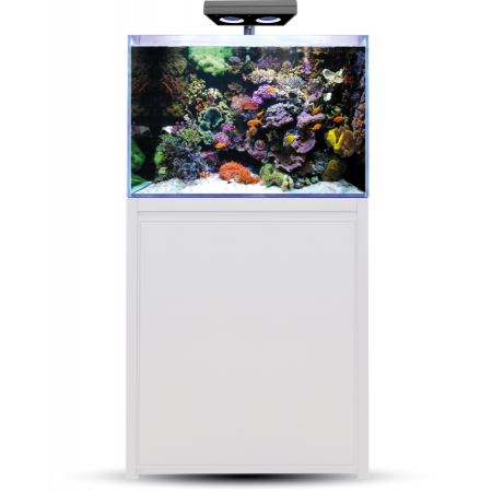 BLUE MARINE REEF 200