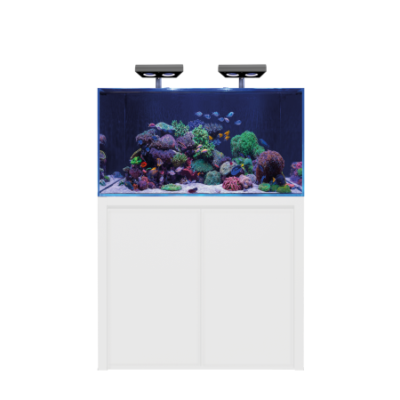 BLUE MARINE REEF 350